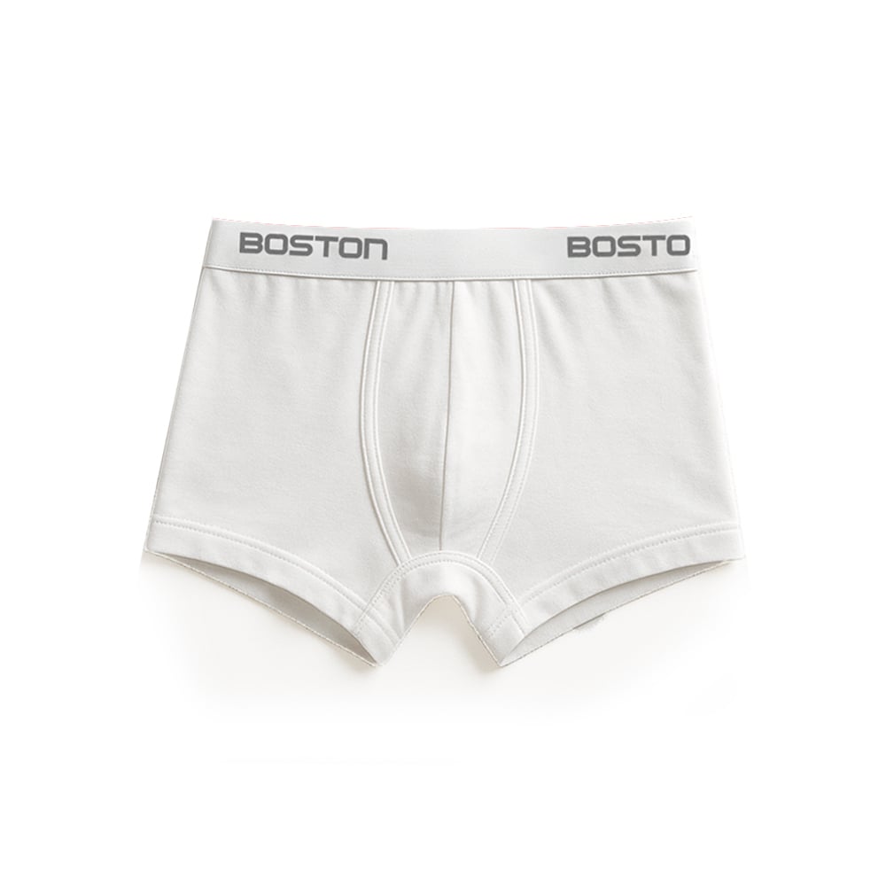 PACK 3 BÓXERS HOMBRE BOSTON 742N CORTO - 2