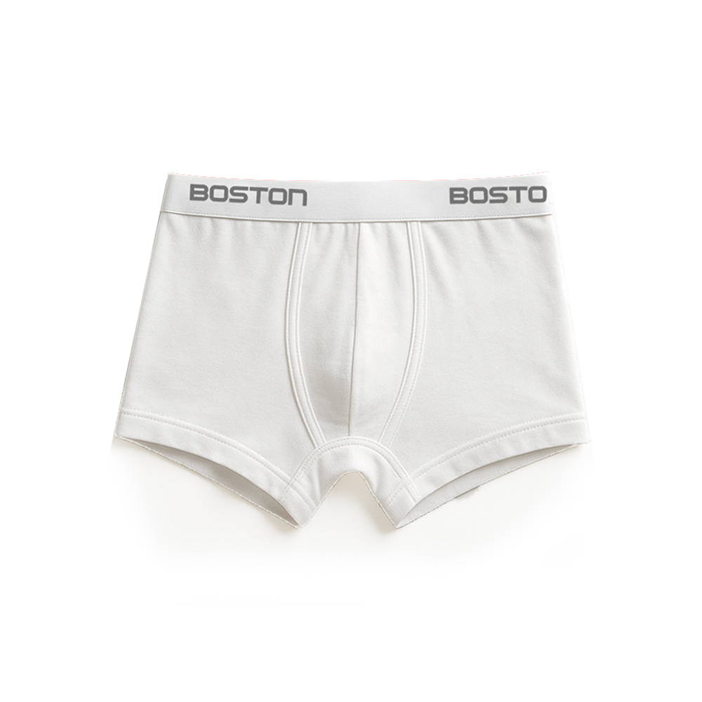 PACK 3 BÓXERS HOMBRE BOSTON 742N CORTO - 2