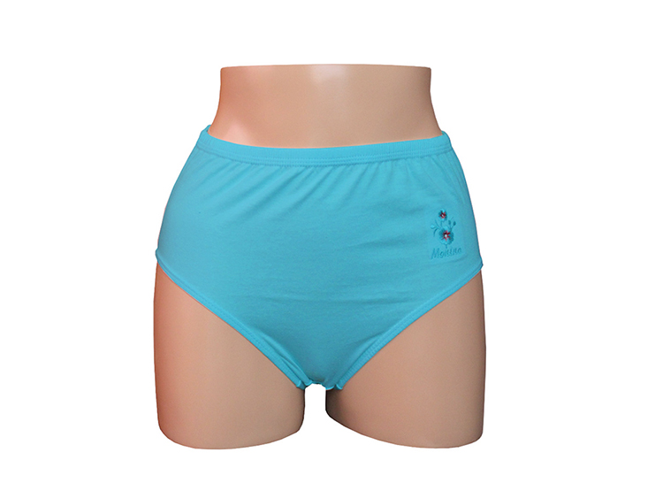 PACK X6 CALZÓN MUJER MONINA TURQUESA TRUSA CLÁSICA - 2