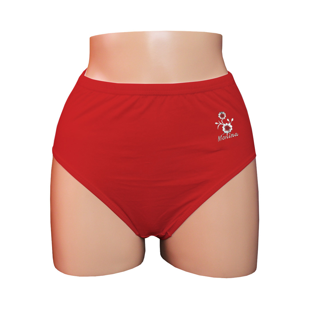 PACK CALZONES ALGODÓN MUJER MONINA MULTICOLOR CLASICA X4 TRUSA 5 - 2
