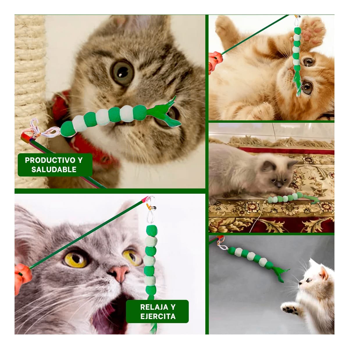 JUGUETE EN COLOR VERDE CON BOLITAS PLASTICO PARA ACTIVIDAD CONSTANTE - 5