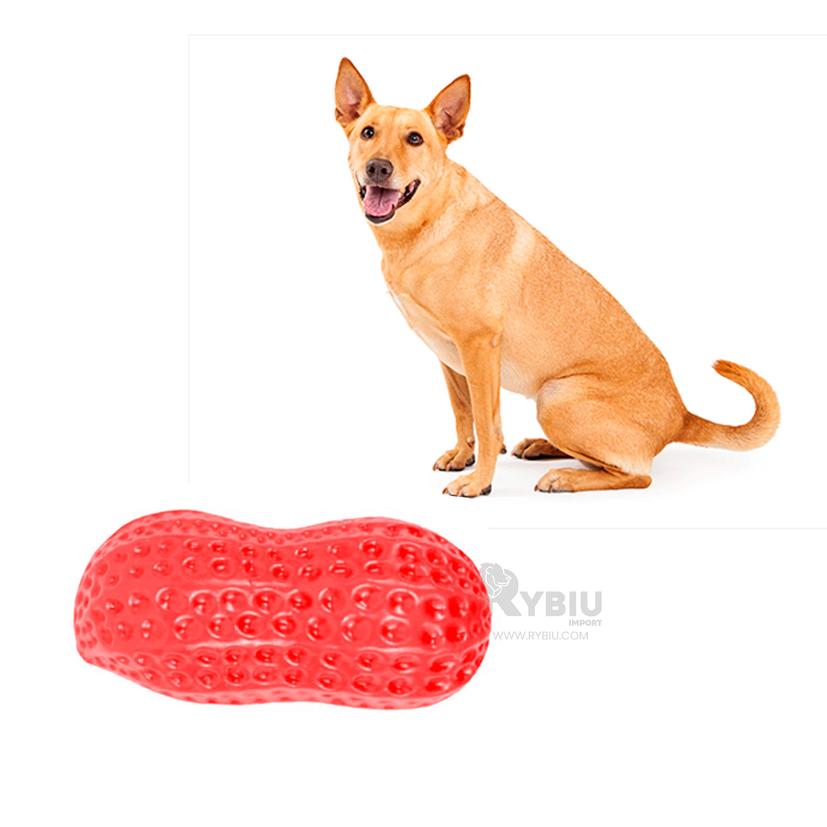 JUGUETE PERRO MORDISQUEABLE MA29077 ROJO Y+ AGENDITA RYBIU - 2