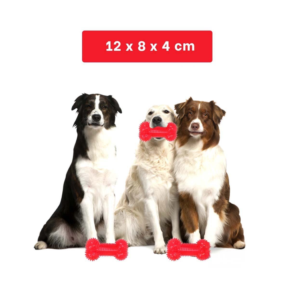 SET JUGUETE EN FORMA DE HUESO LUZ LED COLOR ROJO MUY LUMINOSA Y ALEGRE - 4