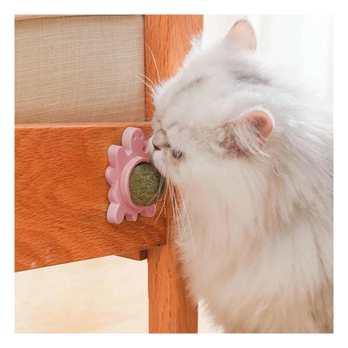 PELOTA HIERBA GATERA ROSADO EN PLASTICO DE TORTUGA GIRATORIO PARA DIVERSION - 1