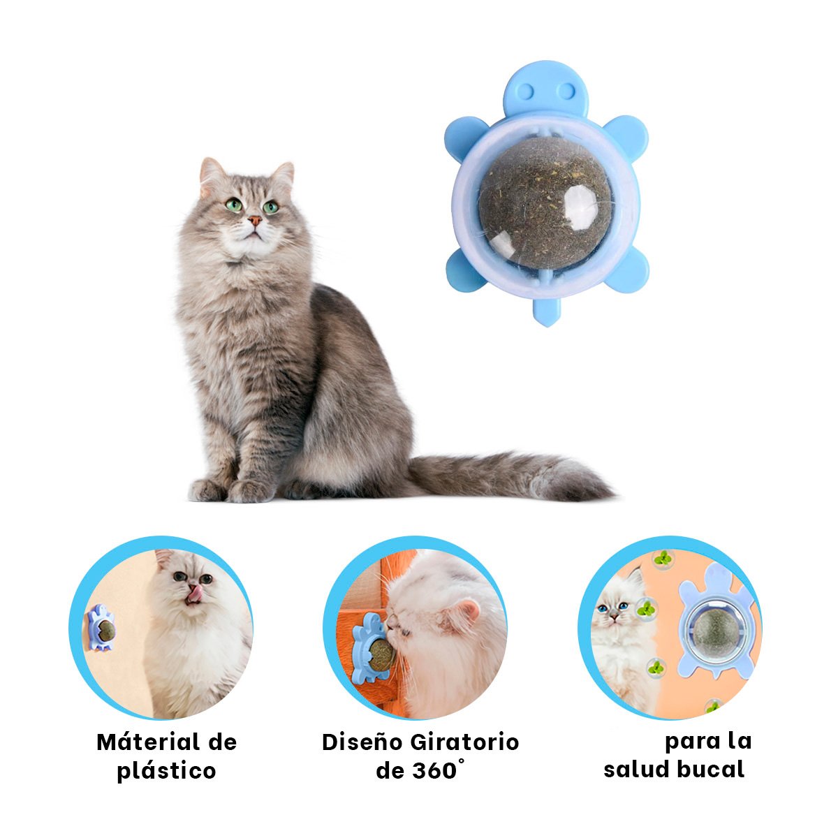 PELOTA HIERBA GATERA CELESTE EN PLASTICO DE TORTUGA GIRATORIO PARA DIVERSION - 3