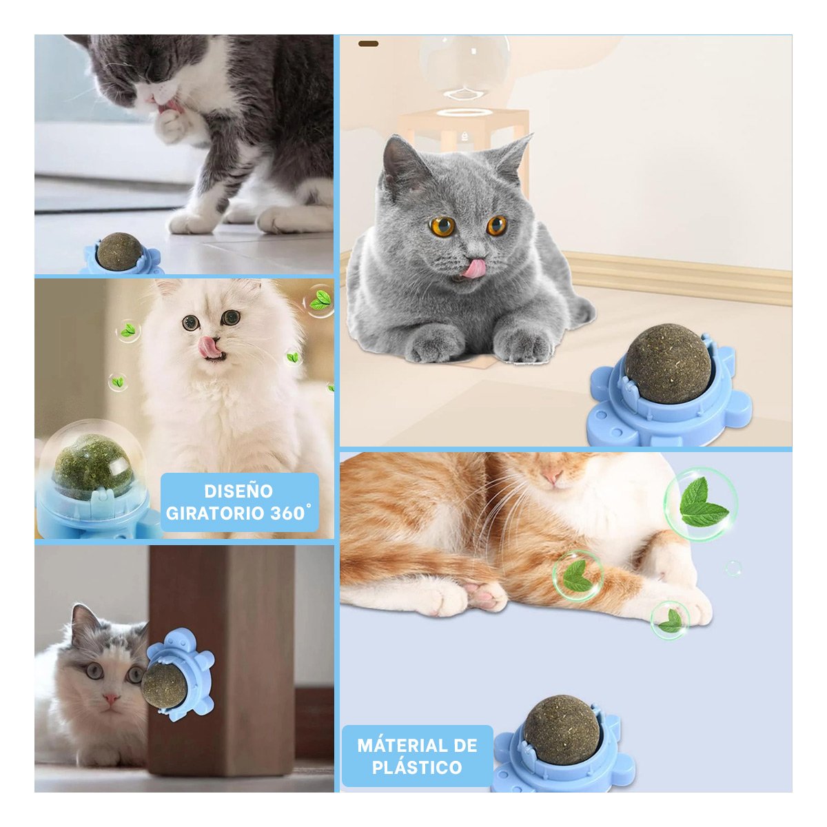 PELOTA HIERBA GATERA CELESTE EN PLASTICO DE TORTUGA GIRATORIO PARA DIVERSION - 5