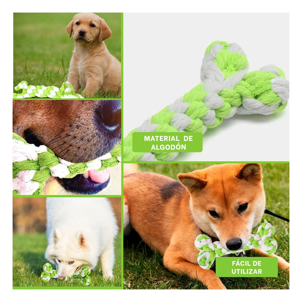 JUGUETE PARA PERROS TIPO HUESO TRENZADO 15X6,5 CM VERDE - 5
