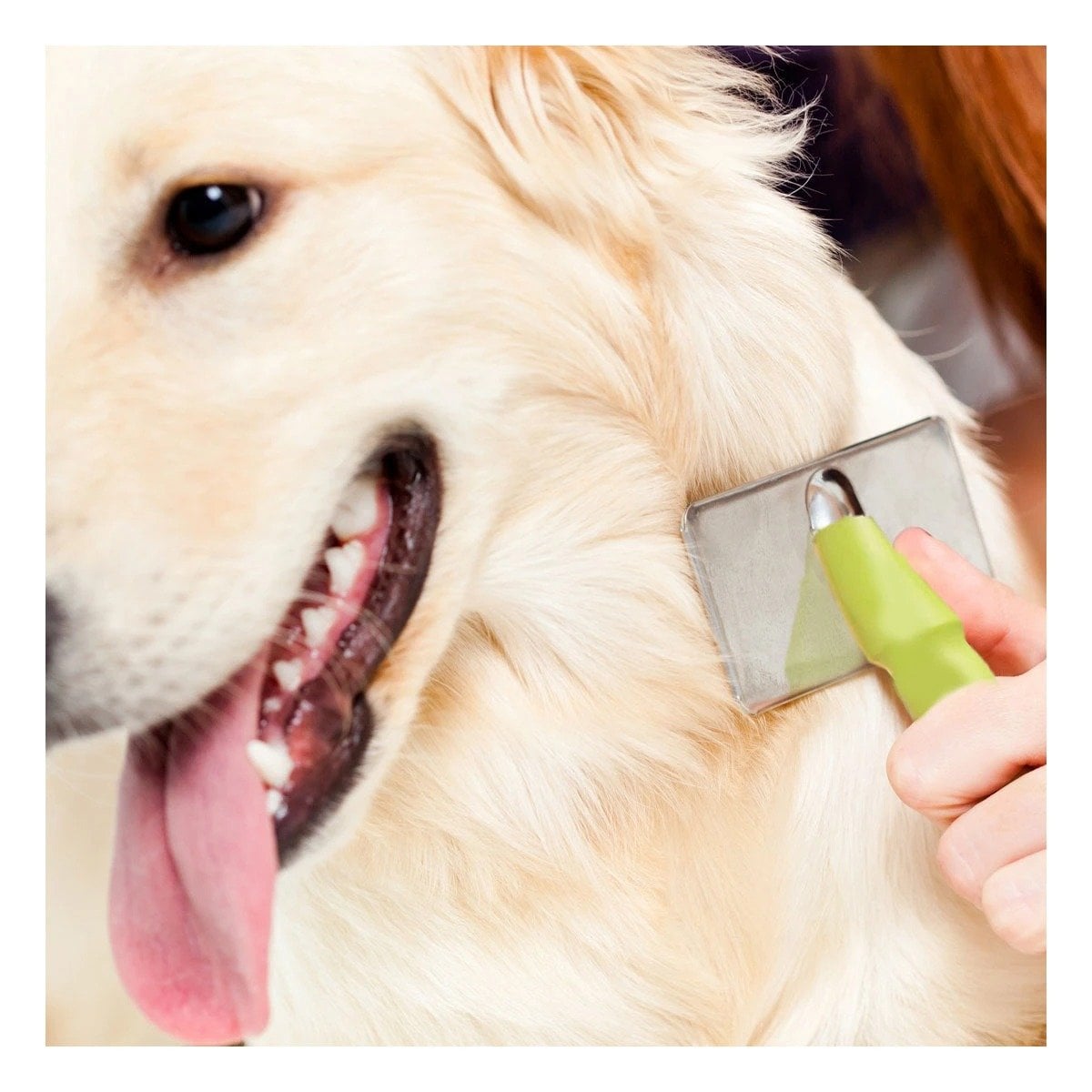 PEINE PERRO Y GATO RYBIU MA31225 TA CON PUNTAS DE METAL SUAVE TALLA M VERDE - 1