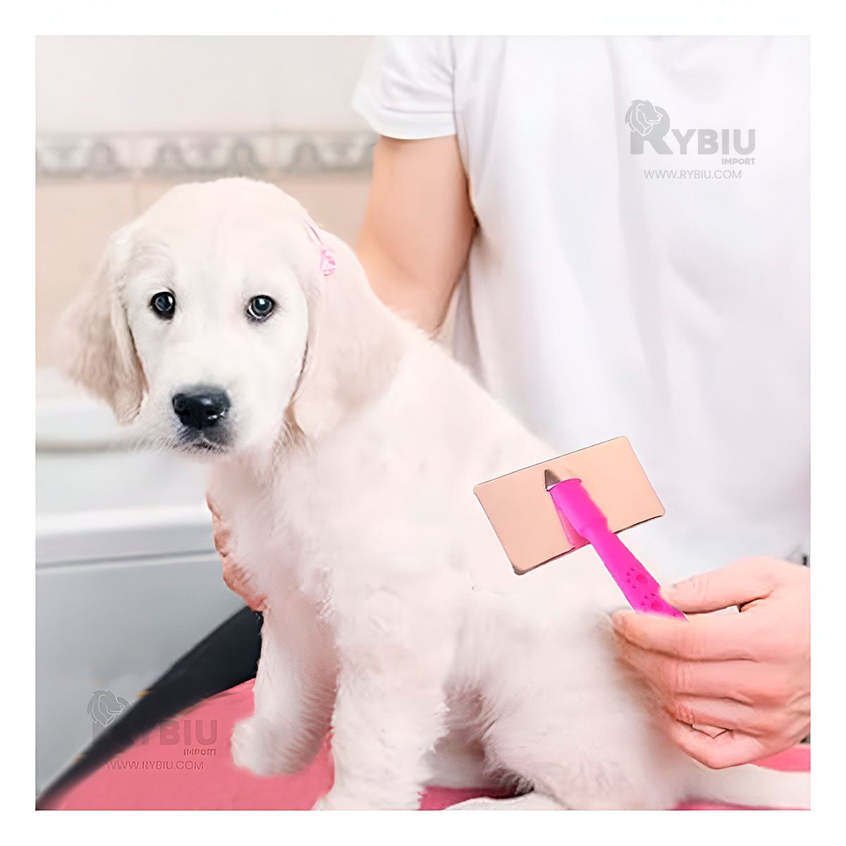 PEINE PERRO Y GATO RYBIU MA31229 TA CON PUNTAS DE METAL SUAVE TALLA FUCSIA - 1