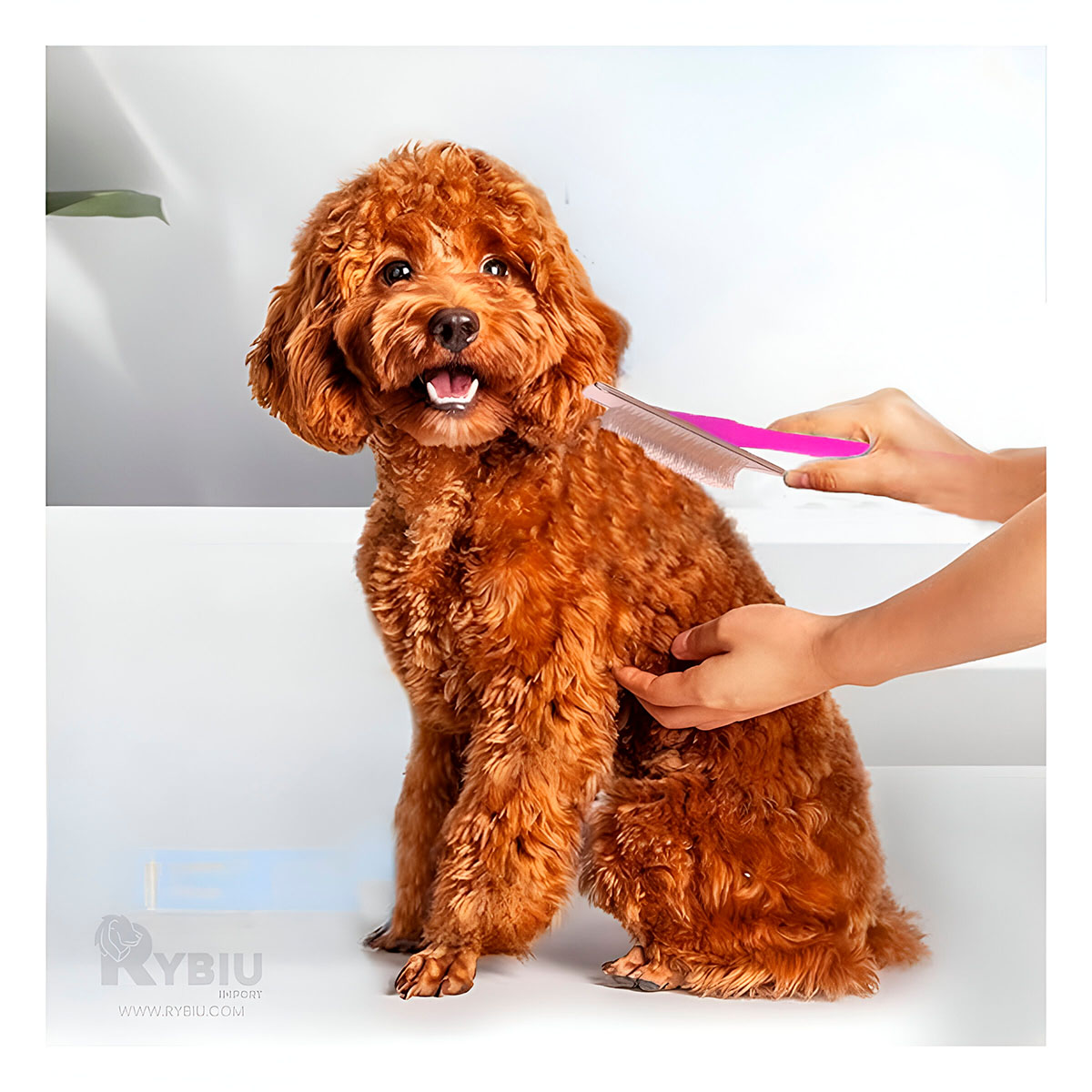 PEINE PERRO Y GATO RYBIU MA31229 TA CON PUNTAS DE METAL SUAVE TALLA FUCSIA - 6