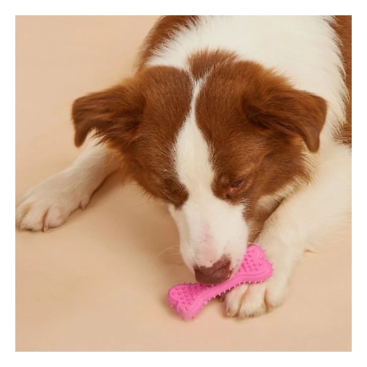 HUESO PARA PERRO ROSADO DE JEBE CON PUAS Y DISENO PRACTICO Y+REGALO STICKER - 5