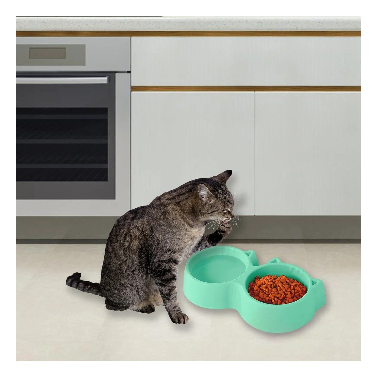 PLATO GATO MA31290 DOBLE FORMA OREJITAS COLOR VERDE RYBIU - 2