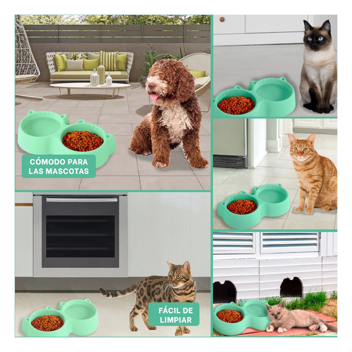 PLATO GATO MA31290 DOBLE FORMA OREJITAS COLOR VERDE RYBIU - 5