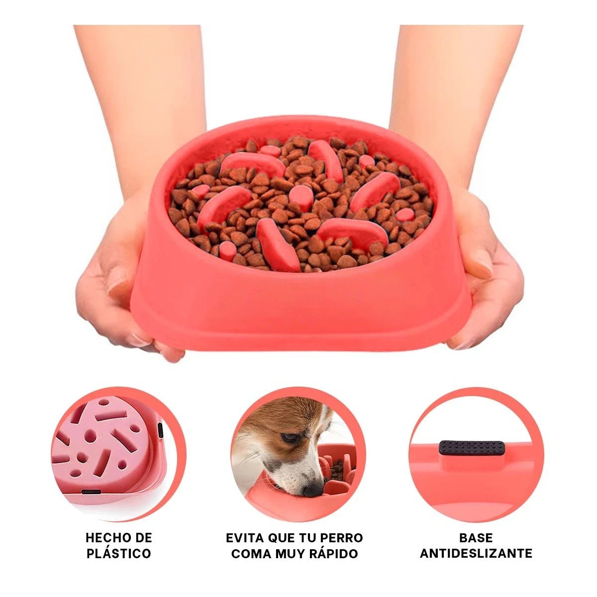 PLATO PERRO MA31309 PET ANTIESTRÉS CUADRADO MODERNO COLOR ROJO RYBIU - 3