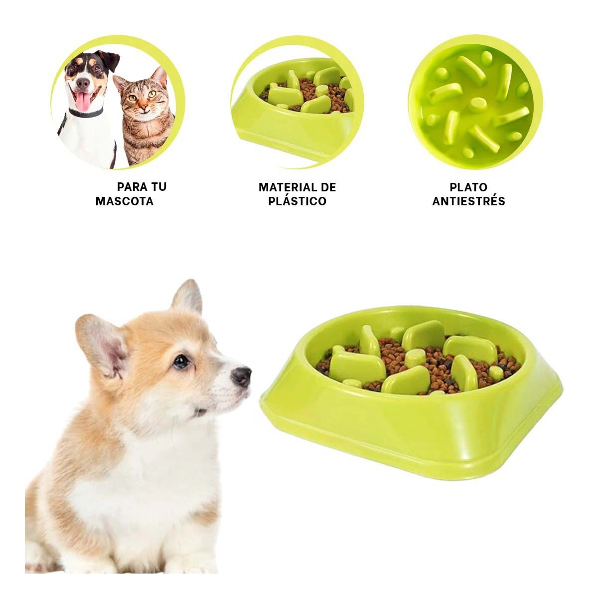 PLATO PERRO MA31311 PET ANTIESTRÉS CUADRADO MODERNO COLOR VERDE RYBIU - 3