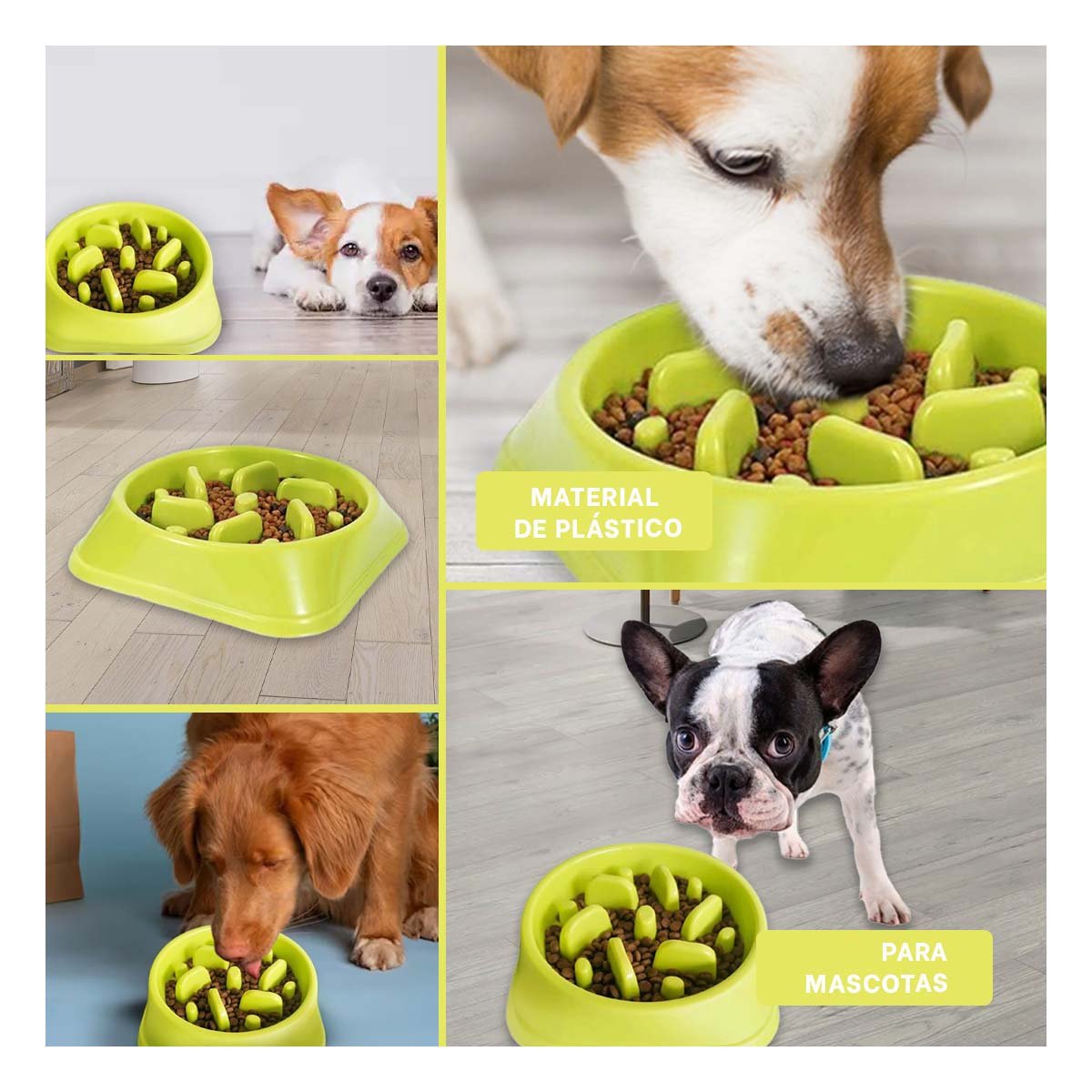 PLATO PERRO MA31311 PET ANTIESTRÉS CUADRADO MODERNO COLOR VERDE RYBIU - 5