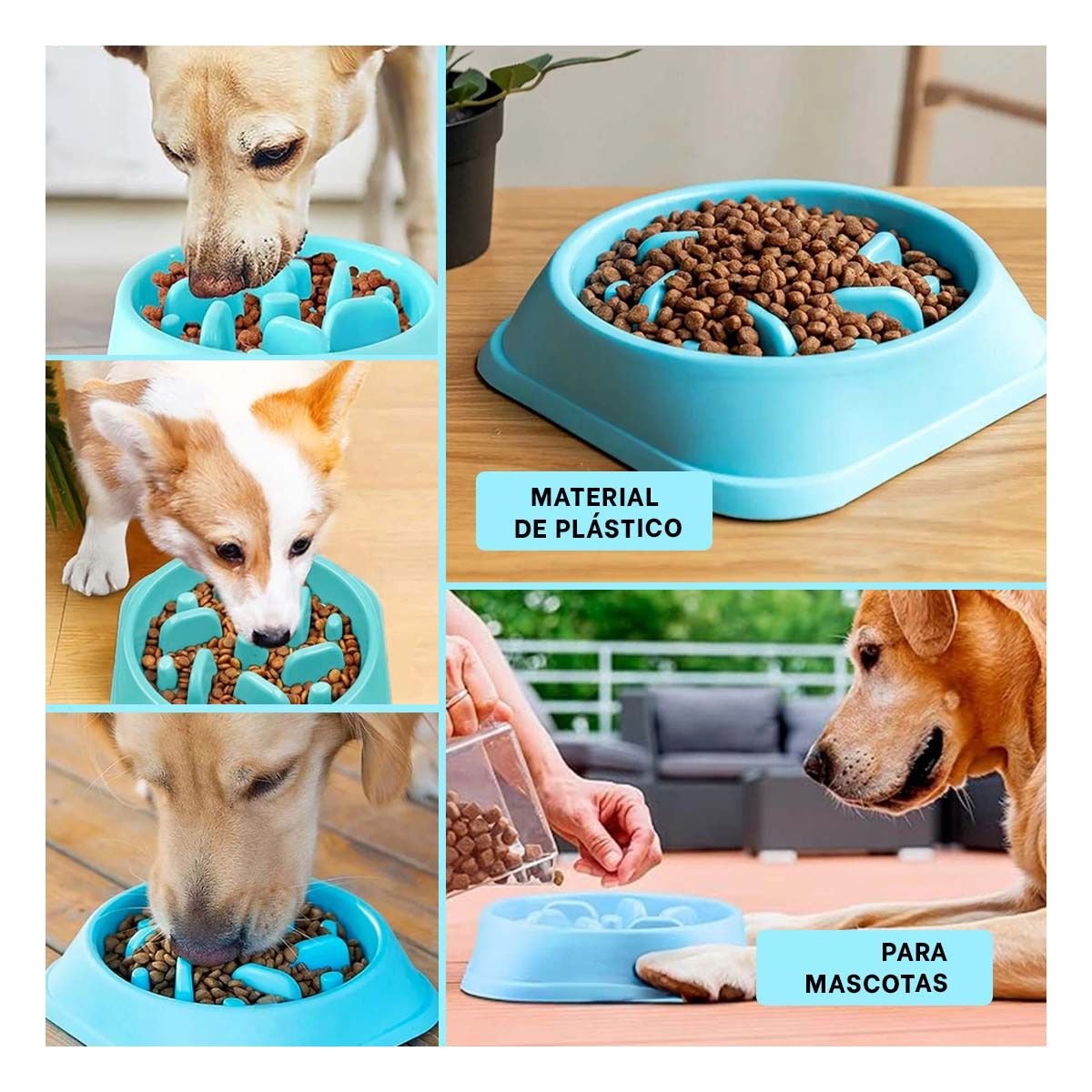 PLATO PERRO MA31308 PET ANTIESTRÉS CUADRADO MODERNO COLOR CELESTE RYBIU - 5