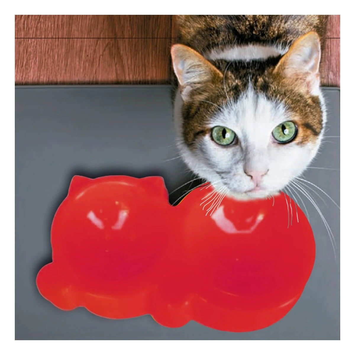 PLATO GATO MA31289 DOBLE FORMA OREJITAS COLOR ROJO RYBIU - 1