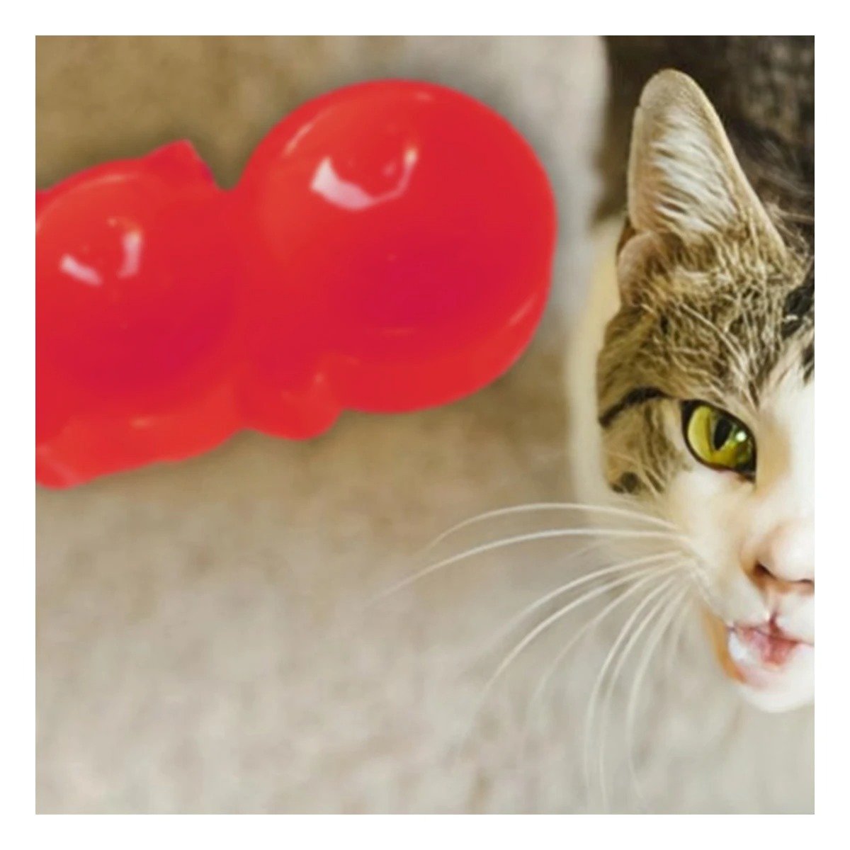 PLATO GATO MA31289 DOBLE FORMA OREJITAS COLOR ROJO RYBIU - 2