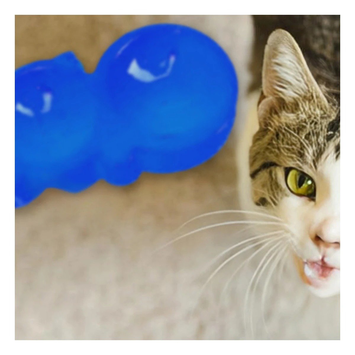 PLATO GATO MA31288 DOBLE FORMA OREJITAS COLOR AZUL RYBIU - 2