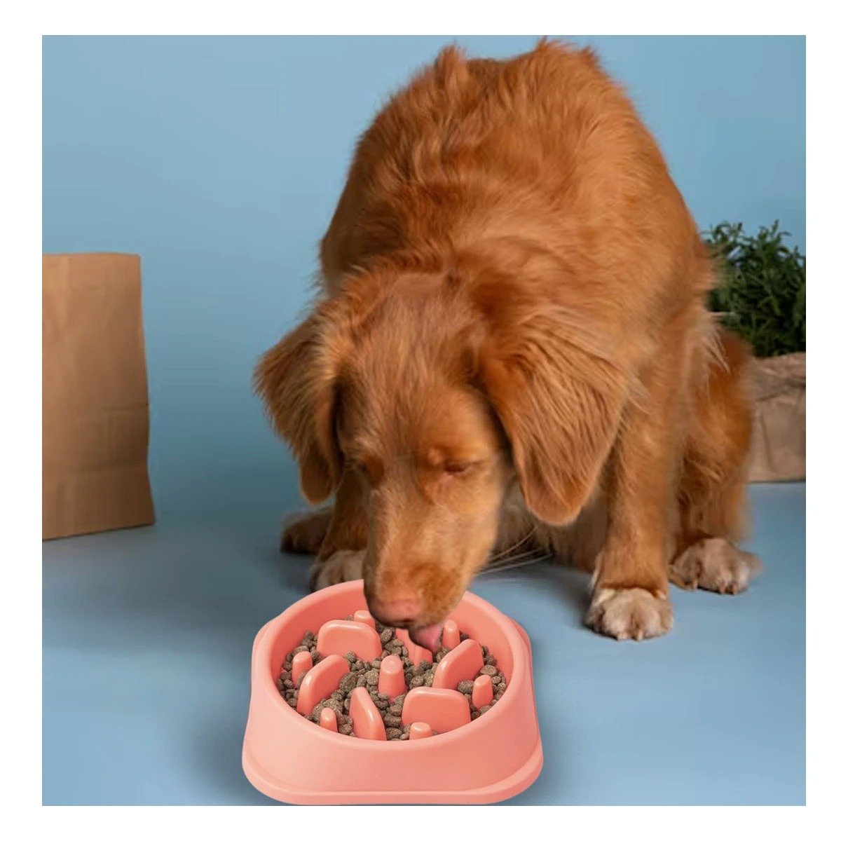 PLATO PERRO MA31310 PET ANTIESTRÉS CUADRADO MODERNO COLOR ROSADO RYBIU - 2