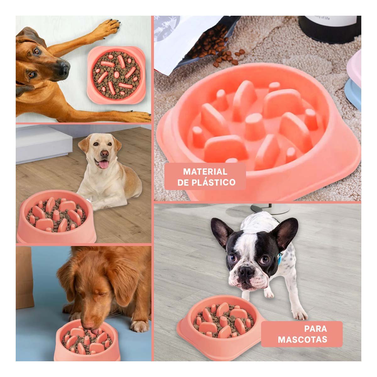 PLATO PERRO MA31310 PET ANTIESTRÉS CUADRADO MODERNO COLOR ROSADO RYBIU - 5