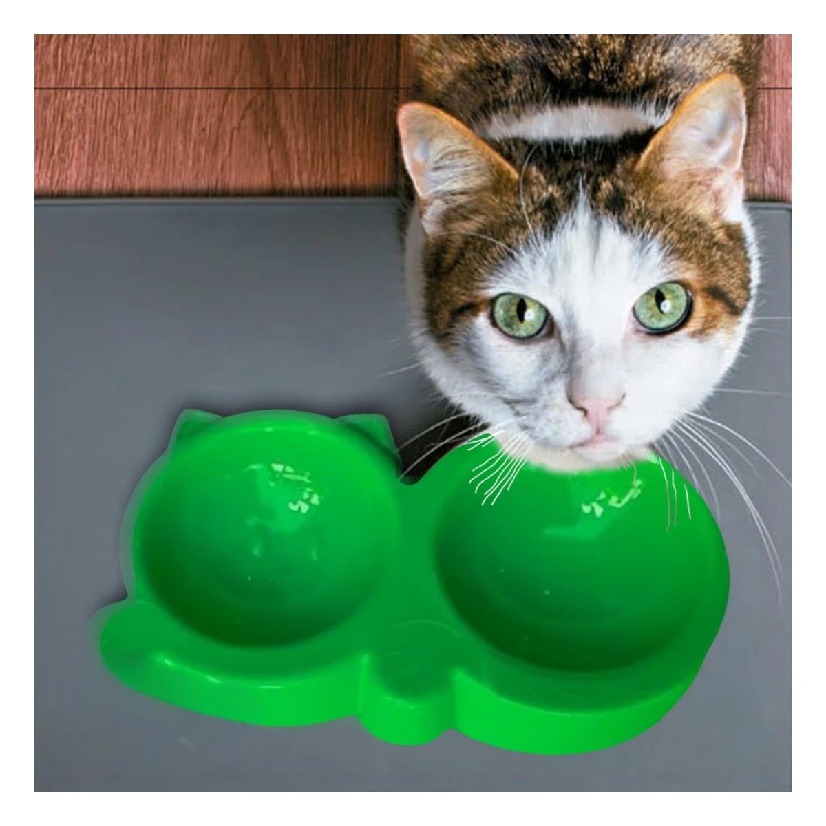 PLATO GATO MA31290 DOBLE FORMA OREJITAS COLOR VERDE RYBIU - 1