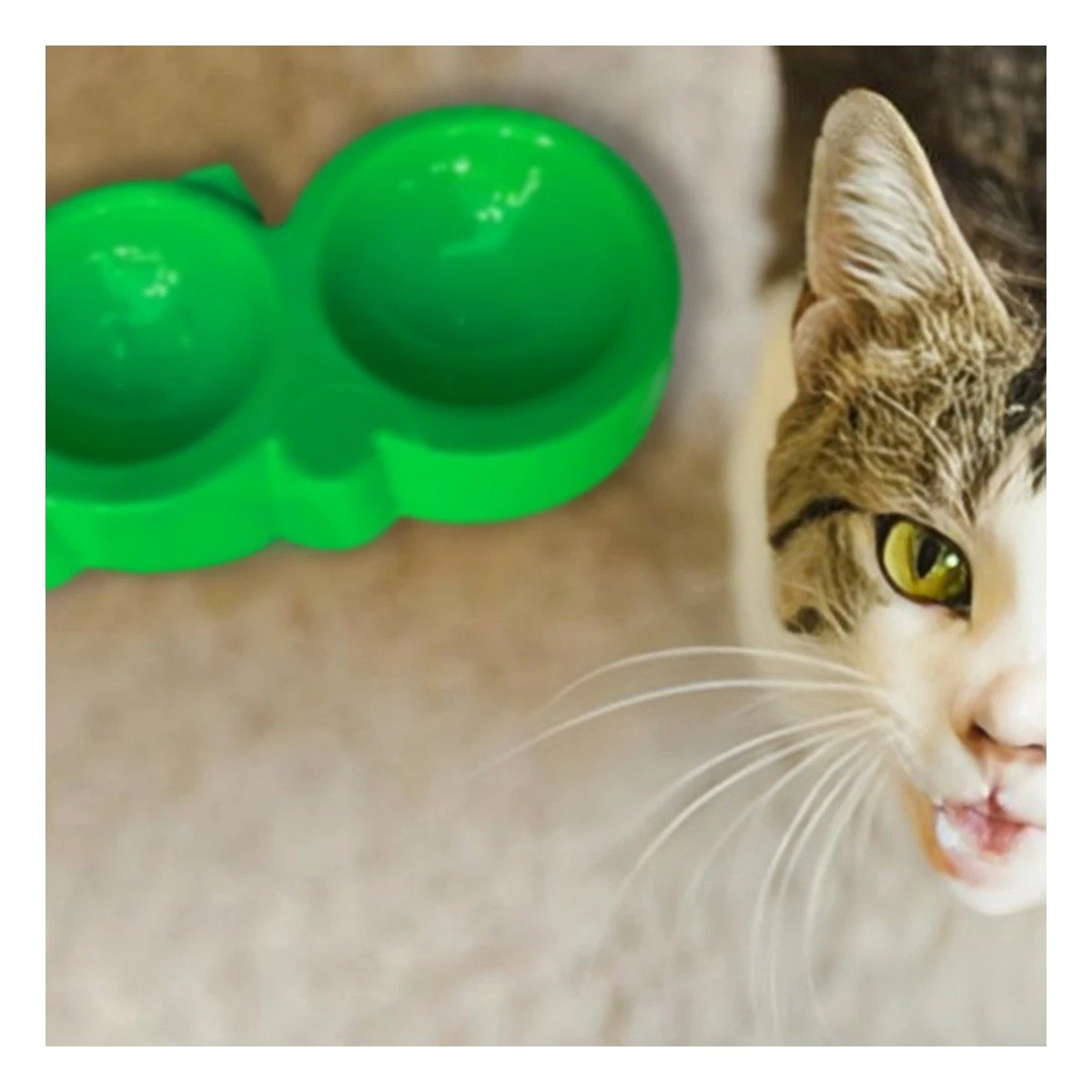 PLATO GATO MA31290 DOBLE FORMA OREJITAS COLOR VERDE RYBIU - 2