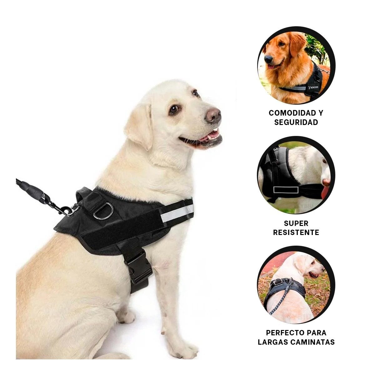 PECHERA PERROS MA30987 RYBIU SERVICE EN NEGRO XXL - 3