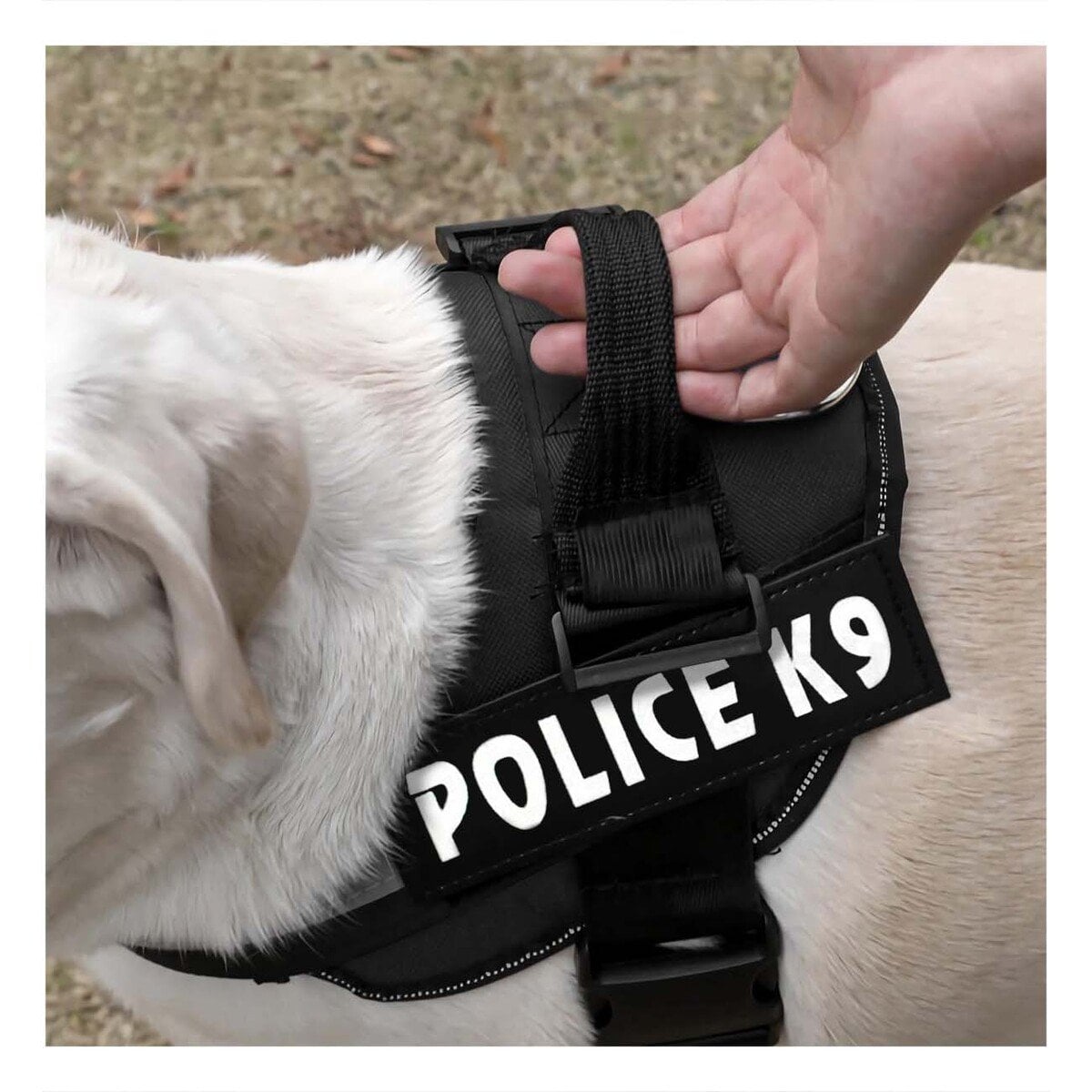 PECHERA PERROS MA30987 RYBIU DE PASEO PET EN NEGRO XXL Y+PAPEL DE REGALO - 3