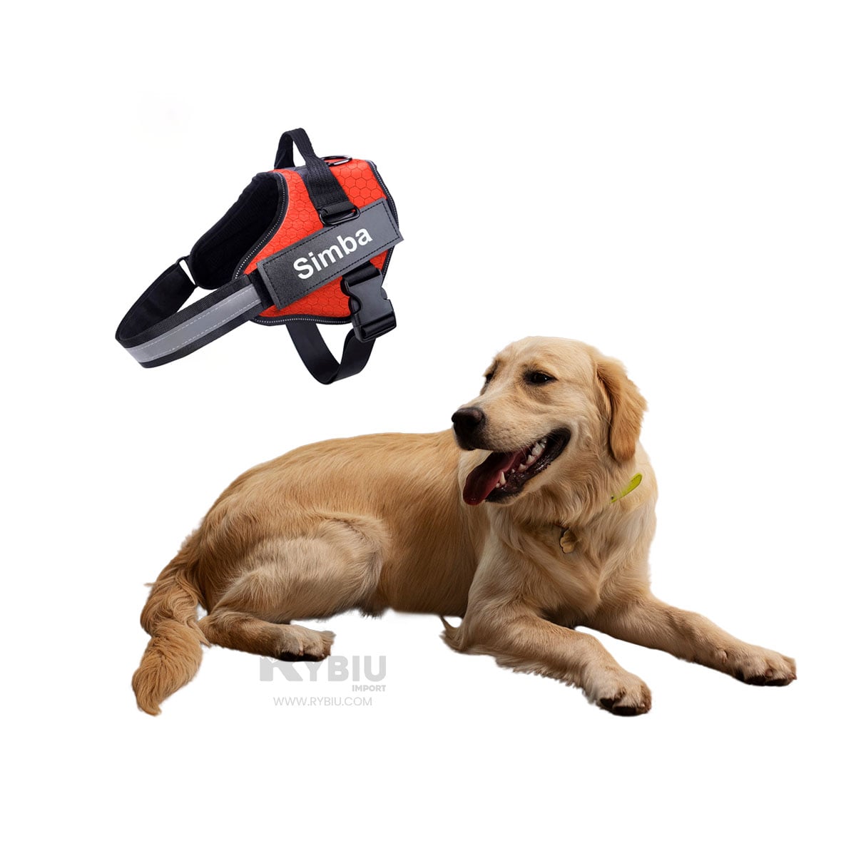 ARNÉS PERROS MA30959 RYBIU CON ENGANCHE PRACTICO EN TONO ANARANJADO Y+AGENDITA - 4