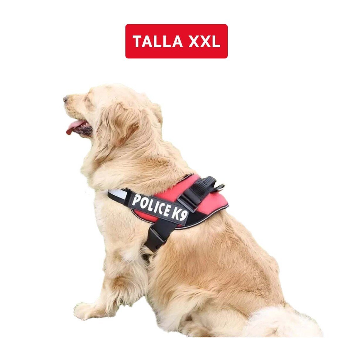 PECHERA PERROS MA30990 RYBIU DE PASEO PET EN ROJO XXL Y+PAPEL DE REGALO - 4