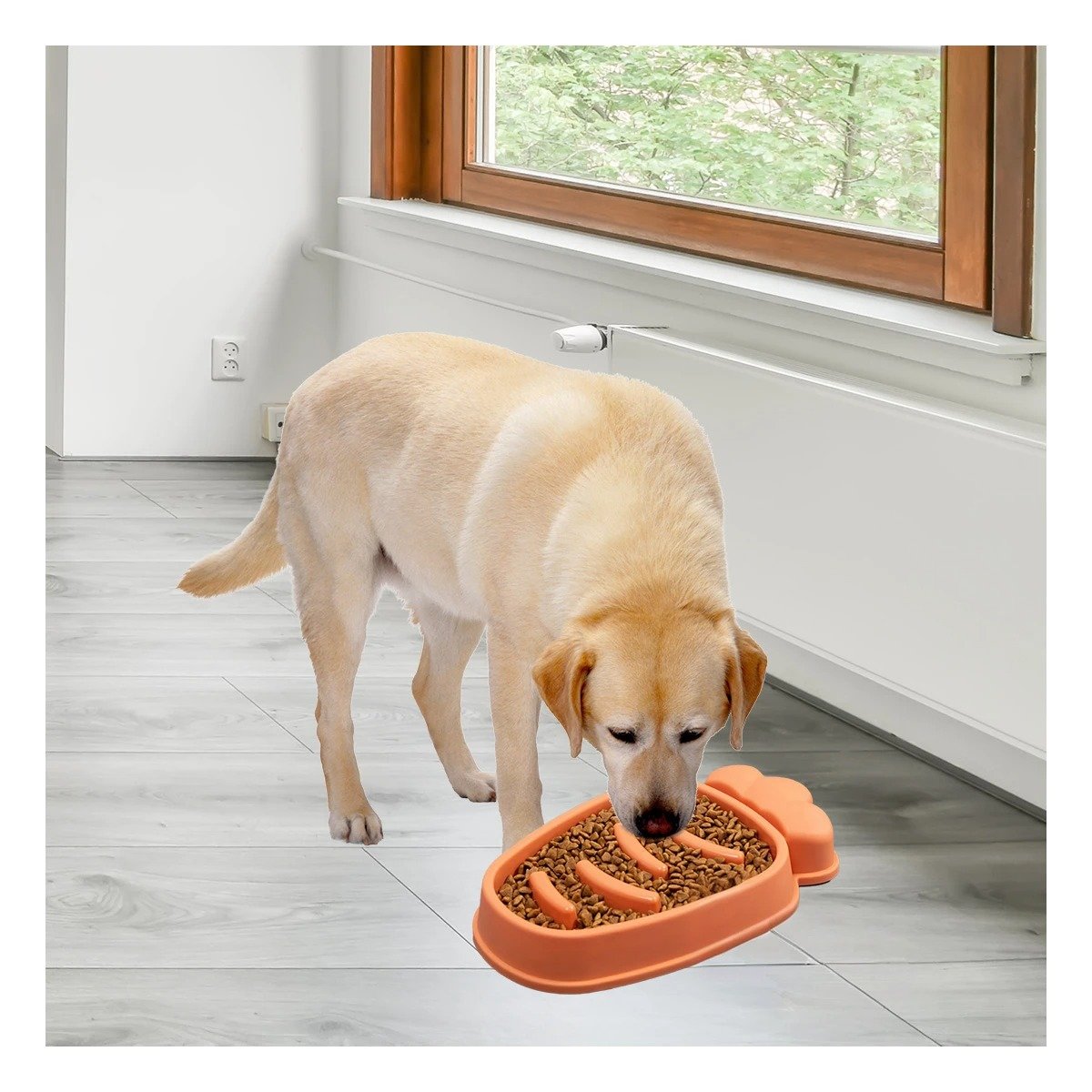 PLATO PERRO MA31314 PET ANTIESTRÉS ZANAHORIA MODERNO COLOR NARANJA RYBIU - 2