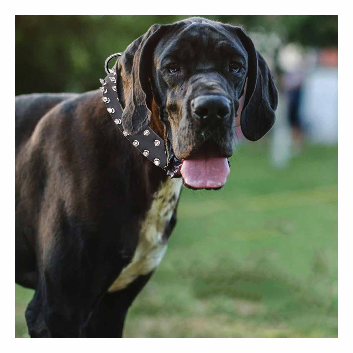 COLLAR PERROS MA31059 RYBIU CON DISEÑO DE PUAS COLOR NEGRO TALLA XL - 2