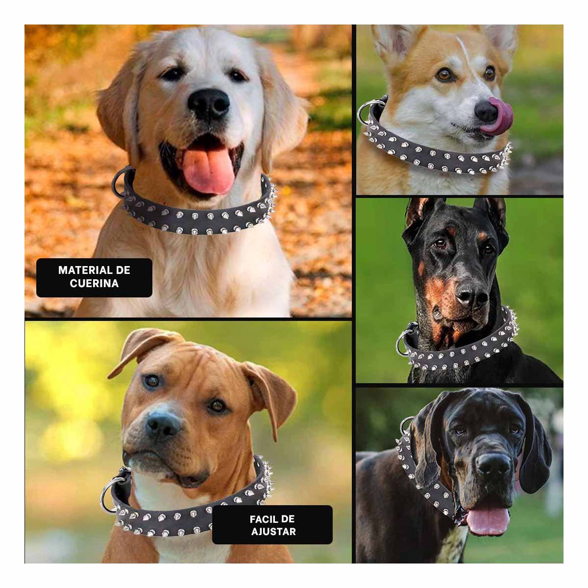 COLLAR PERROS MA31059 RYBIU CON DISEÑO DE PUAS COLOR NEGRO TALLA XL - 5