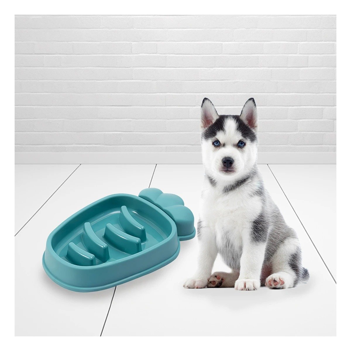 PLATO PERRO MA31313 PET ANTIESTRÉS ZANAHORIA MODERNO COLOR VERDE RYBIU - 2