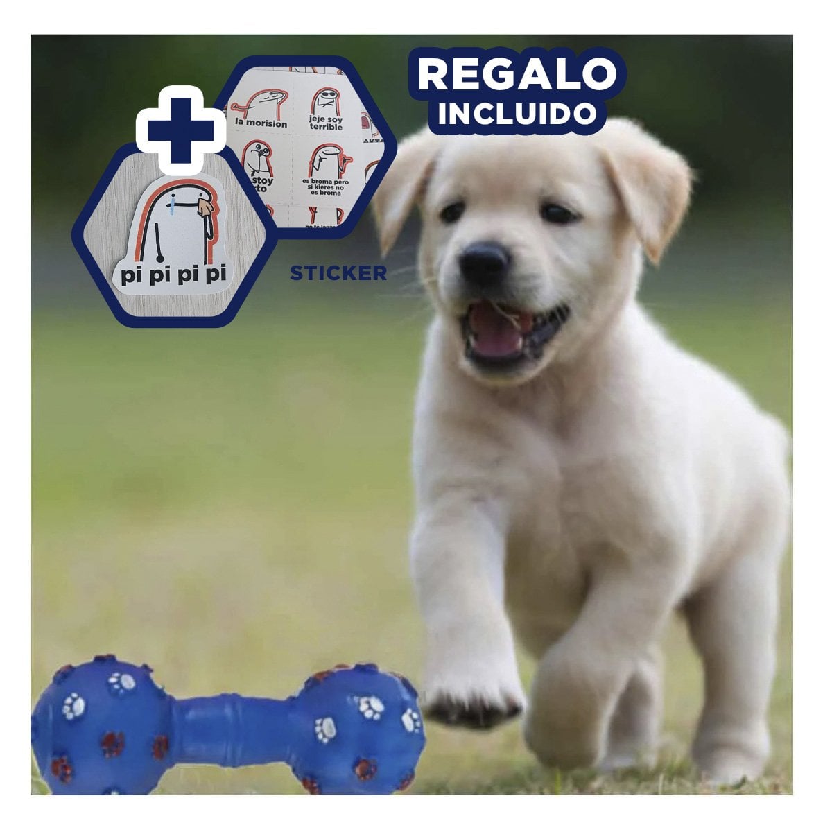 JUGUETE CANINO EN FORMA DE HUESO AZUL PARA DIVERSION EN CASA Y+REGALO STICKER - 1