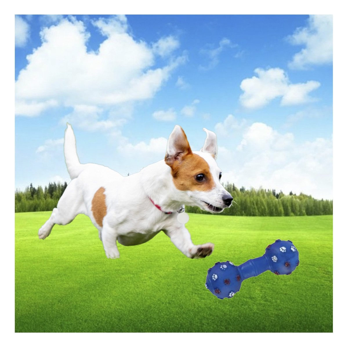JUGUETE CANINO EN FORMA DE HUESO AZUL PARA DIVERSION EN CASA Y+REGALO STICKER - 2