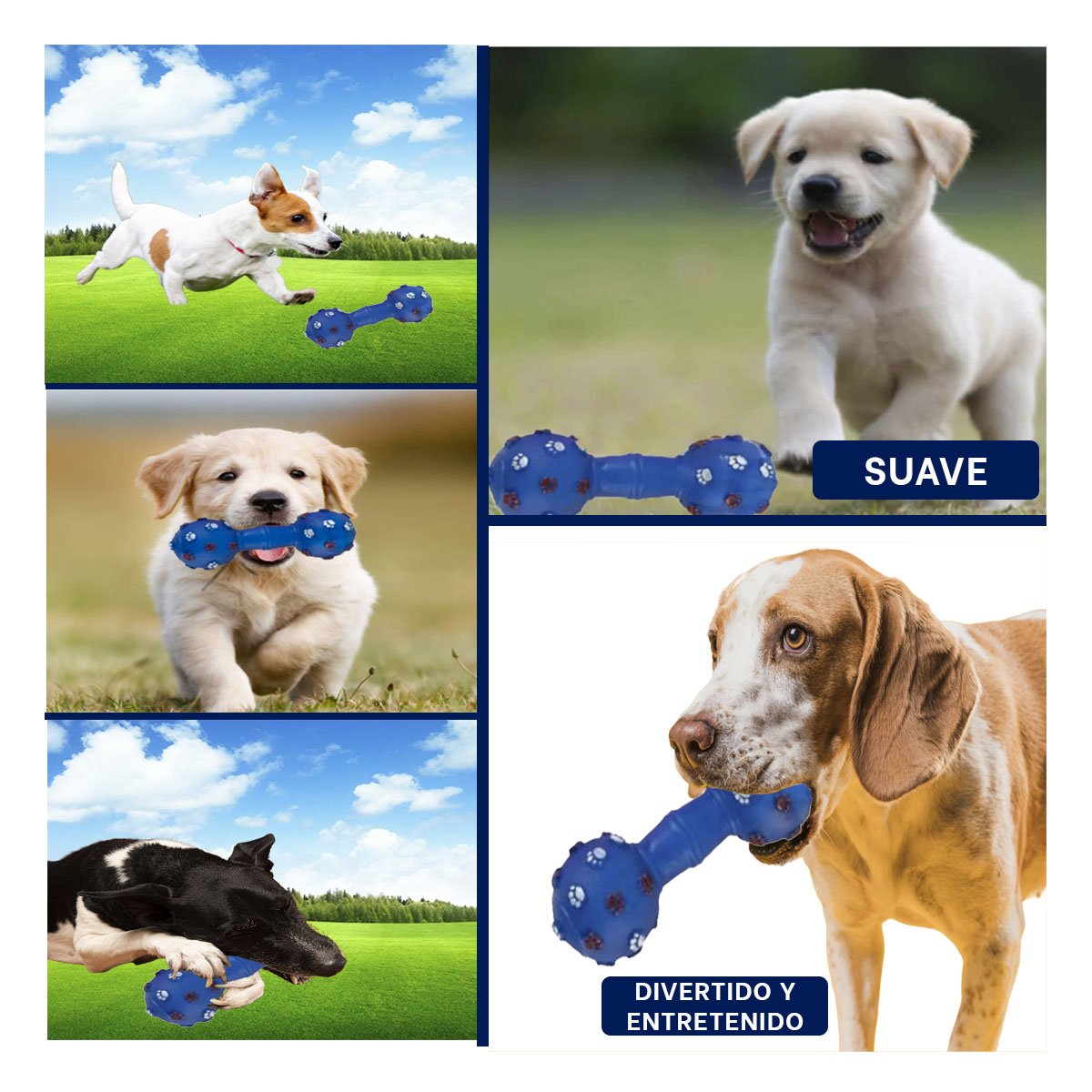 ACCESORIO PARA PERRO TIPO HUESO AZUL PARA MOMENTOS DE JUEGO - 5