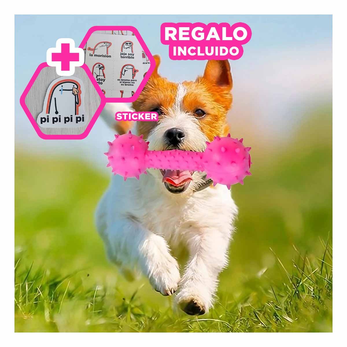 HUESO DE JEBE CON BOLAS LATERALES ROSADO PARA MASCOTAS ACTIVAS Y+REGALO STICKER - 1
