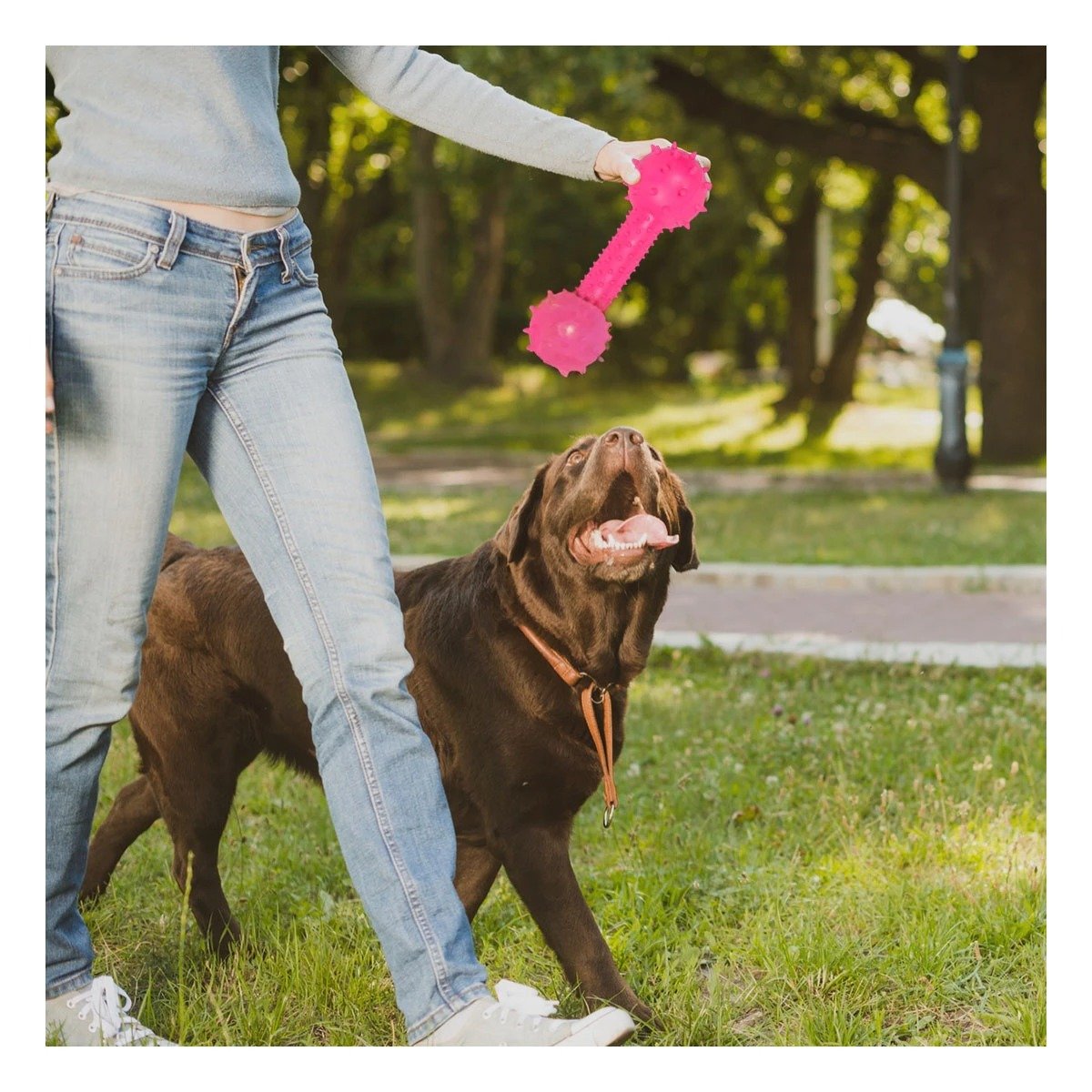 HUESO DE JEBE CON BOLAS LATERALES ROSADO PARA MASCOTAS ACTIVAS Y+REGALO STICKER - 5
