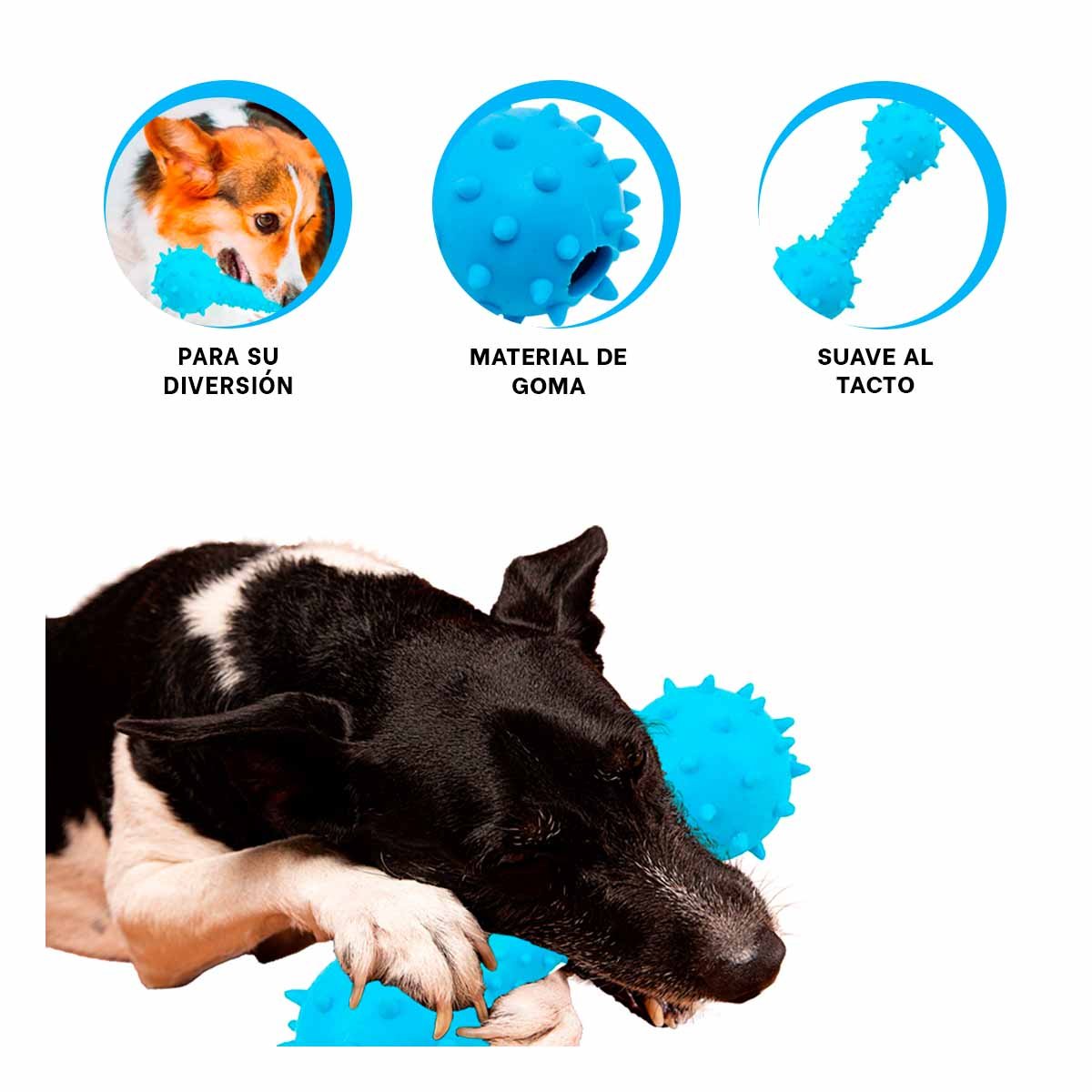 HUESO TEXTURIZADO CELESTE PARA MASCOTAS CON BOLAS EN LOS EXTREMOS - 3