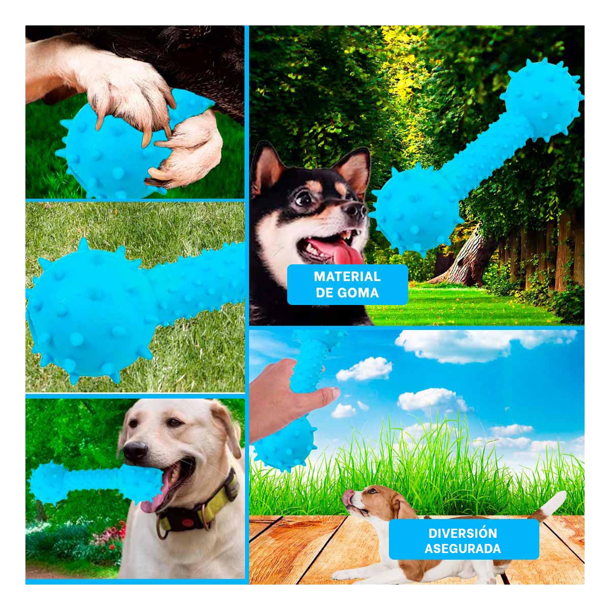 HUESO TEXTURIZADO CELESTE PARA MASCOTAS CON BOLAS EN LOS EXTREMOS - 5