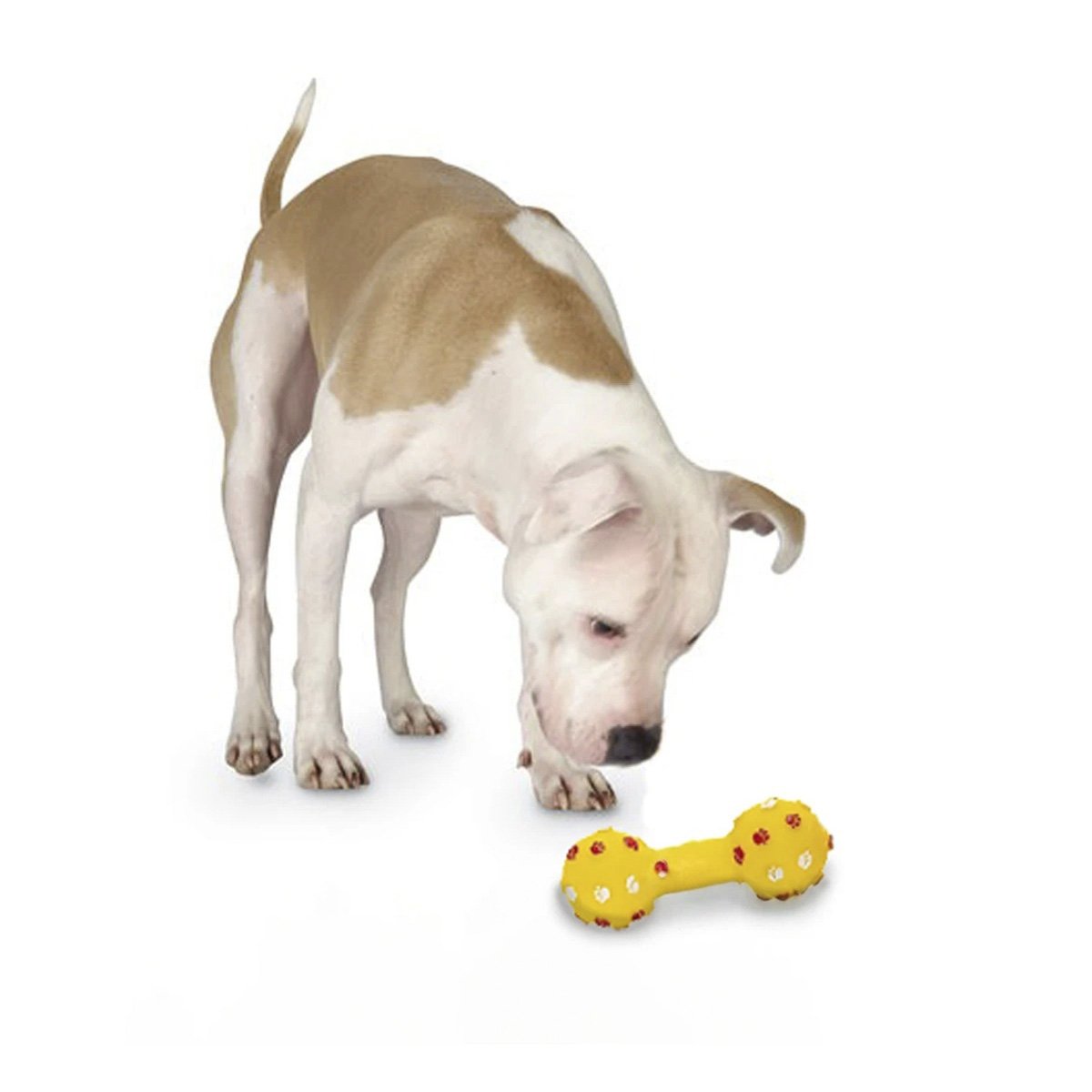 JUGUETE CANINO EN FORMA DE HUESO AMARILLO PARA DIVERSION EN CASA Y+REGALO STICKER - 3