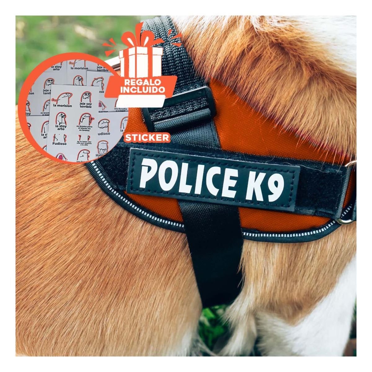 PECHERA PERROS MA30986 RYBIU DE PROTECCION PARA CAN EN ANARANJADO XXL Y+STICKERS - 1