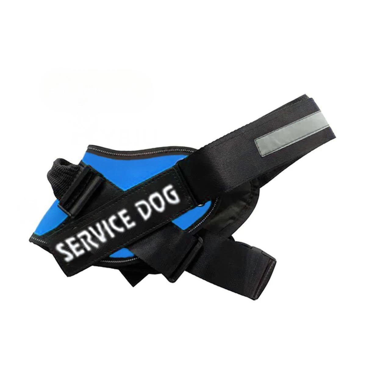 PECHERA PERROS MA30985 RYBIU DE PASEO PET EN AZUL XXL Y+PAPEL DE REGALO - 1