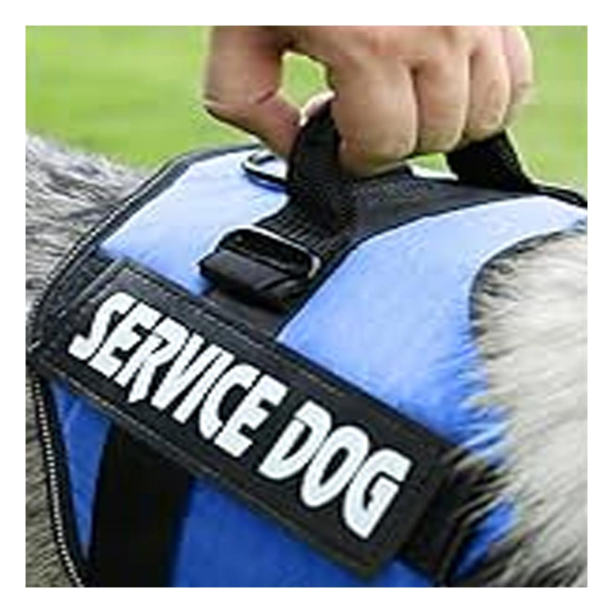 PECHERA PERROS MA30985 RYBIU DE PASEO PET EN AZUL XXL Y+PAPEL DE REGALO - 2