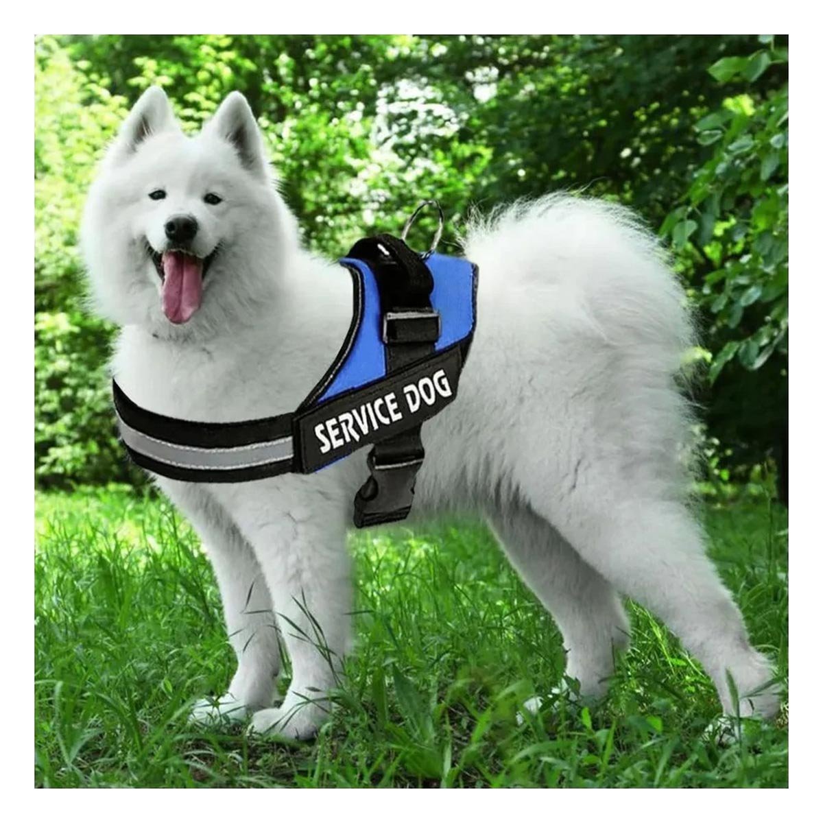 PECHERA PERROS MA30985 RYBIU DE PASEO PET EN AZUL XXL Y+PAPEL DE REGALO - 5