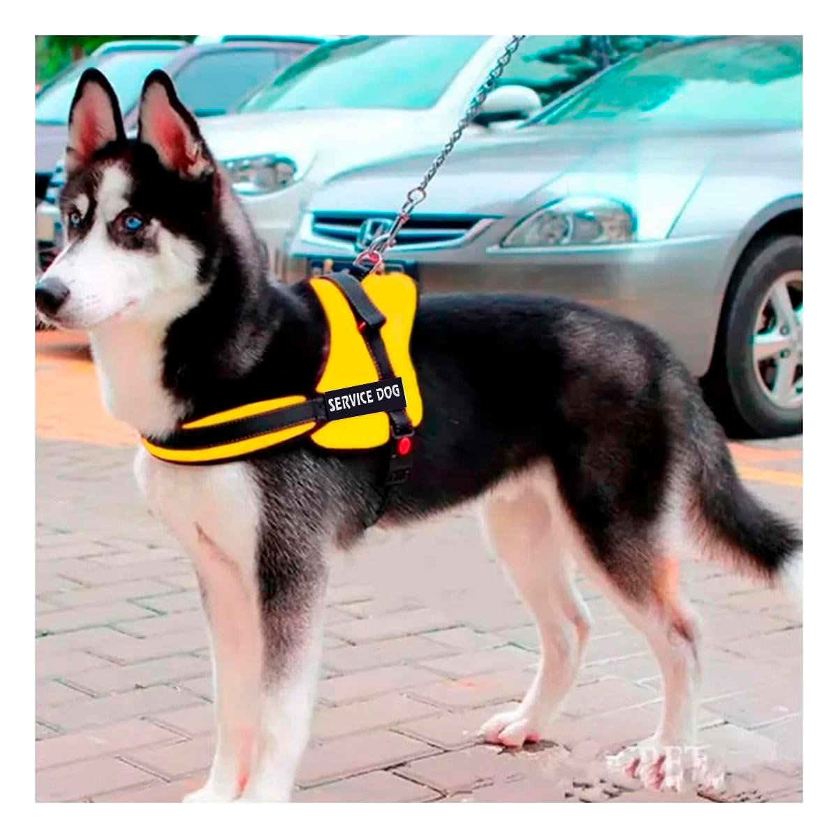 PECHERA PERROS MA30984 RYBIU DE VIAJE PET EN AMARILLO XXL Y+PAPEL DE REGALO - 3