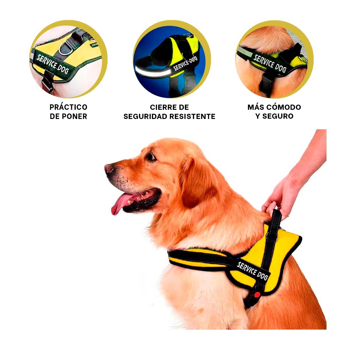 PECHERA PERROS MA30984 RYBIU SERVICE EN AMARILLO XXL - 3